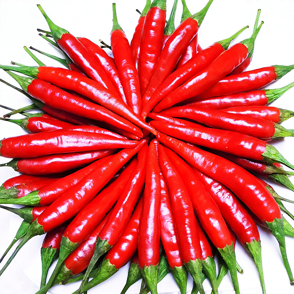 Jinke Lifeng® Red Cluster Pepper Seeds