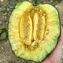 Sweet Mealy Black Skin Melon, 100 Seeds