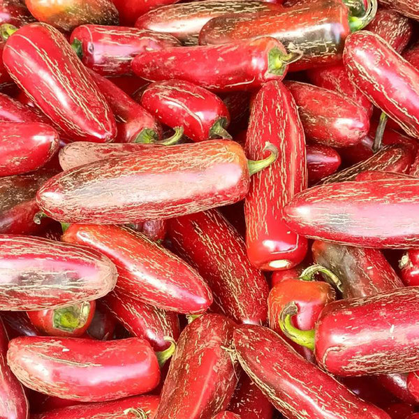 Sausage Pepper Seeds, 0.3g
