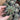 Melocactus amoenus, 3-4cm