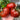 812 Truffle Heart Tomato, 5 Seeds