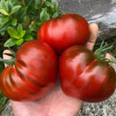 812 Truffle Heart Tomato, 5 Seeds