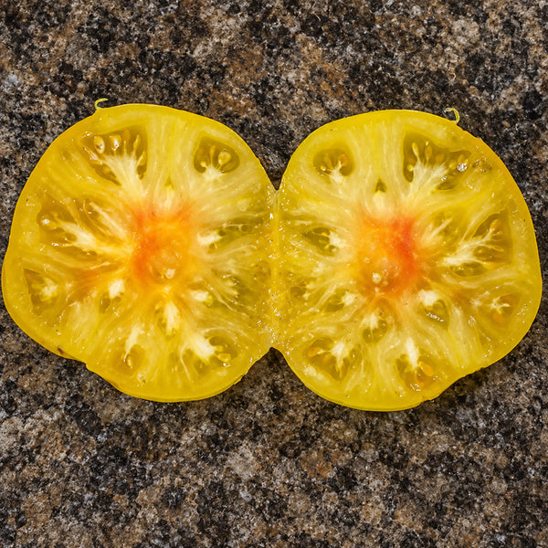 470 Dean's Rainbow Dwarf Tomato, 5 Seeds