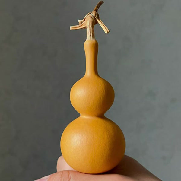 Tianjin Mouth Gourd, 10 Seeds