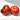 485 Black Alice Tomato, 5 Seeds