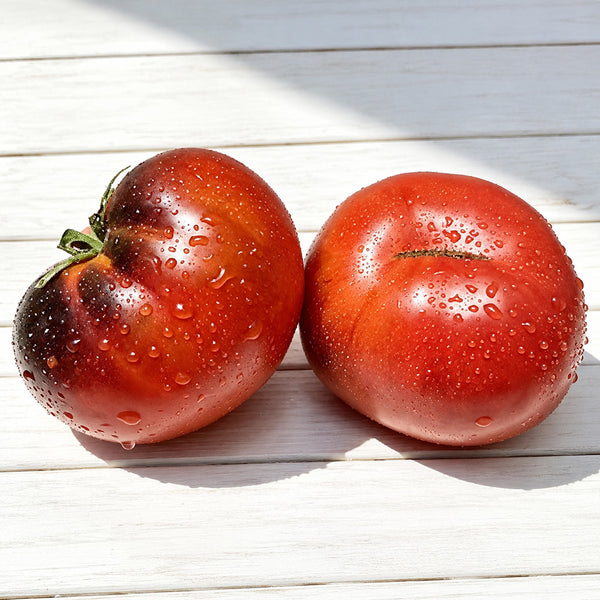 485 Black Alice Tomato, 5 Seeds