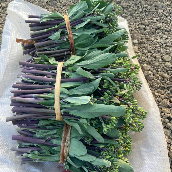 Curly-Leaf Red-Stem Chinese Kale Seeds, 10g