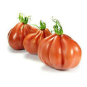 CORAZON Fleshy Tomato Seeds, 10 Seeds