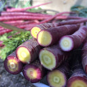 Purple Carrot F1 Seeds, 5 Grams ≈ 3000 Seeds