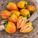 458 Marina's Praise Tomato, 5 Seeds