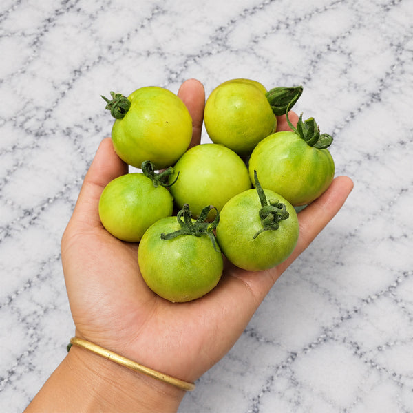 1153 Dwarf Beautiful Ones Tomato, 5 Seeds