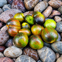 201 Gohua Lightning Tomato, 5 Seeds