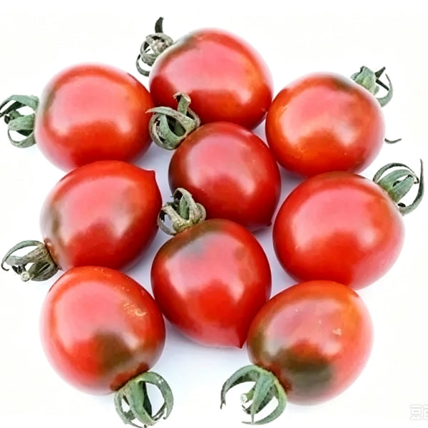 935 Centiflor Black Tomato, 5 Seeds
