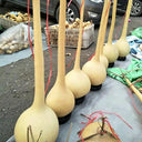 Long Handle Gourd, 10 Seeds