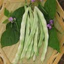 Didouwang No.1 Kidney Bean Seeds, 10g Per Bag