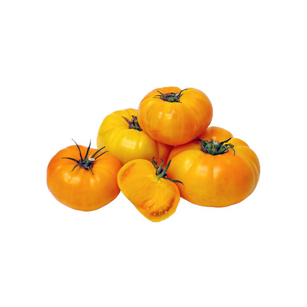 Golden Mango Tomato, 10 Seeds