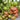 656 Kozula 128 Tomato, 5 Seeds