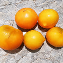 183 Allure Micro Dwarf Tomato, 5 Seeds