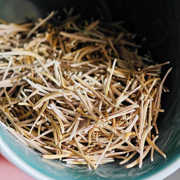 Giant Salsify, 50 Seeds