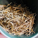 Giant Salsify, 50 Seeds