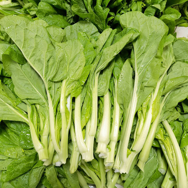 Jiemei Pak Choi Flowering Stem Seeds, 10g