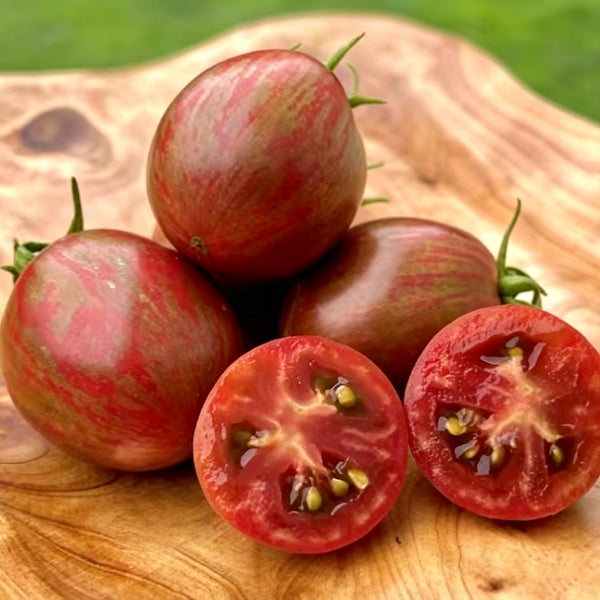 936 Dwarf Super Cool Melody Tomato, 5 Seeds