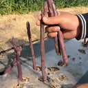 Purple Asparagus Seeds, 2g
