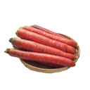 'Beauty Finger' Carrot Seeds, 10g