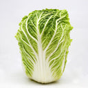 Beijing New No.3 Cabbage Seeds, 5 × 5g Bags