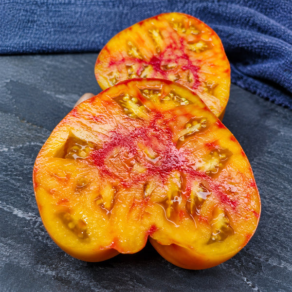 309 Manhattan Bicolor Tomato, 5 Seeds