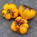 90 Purple Lightning Tomato, 5 Seeds