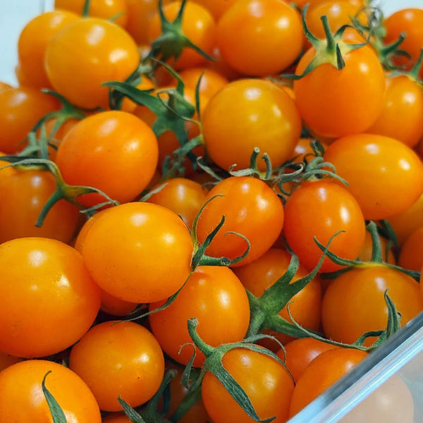Golden Emperor Cherry Tomato, 200 Seeds