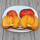 562 Tricolor Tomato, 5 Seeds