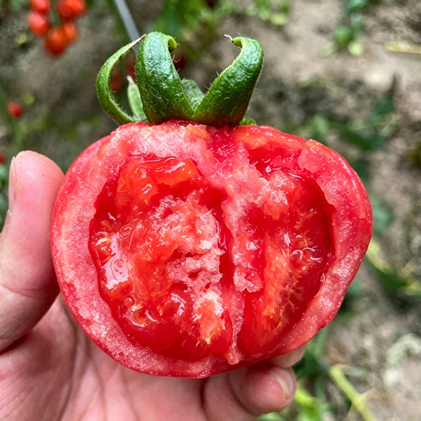 Pink Peach Fruit Tomato Seeds, 0.5g