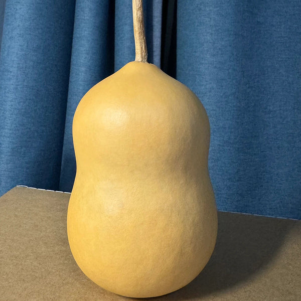 Guoguo Gourd, 10 Seeds