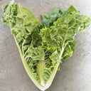 Early Royal Beijing Cabbage Seeds, 20g