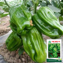 Spicy No.1 Chili Pepper Seeds, 100 Seeds