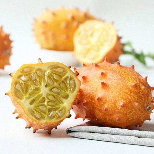 Kiwano Melon Seeds, 50 Seeds
