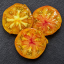 446 Alice's Dream Tomato, 5 Seeds