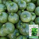 Shengfeng Dark Jade Zucchini Seeds, 10g