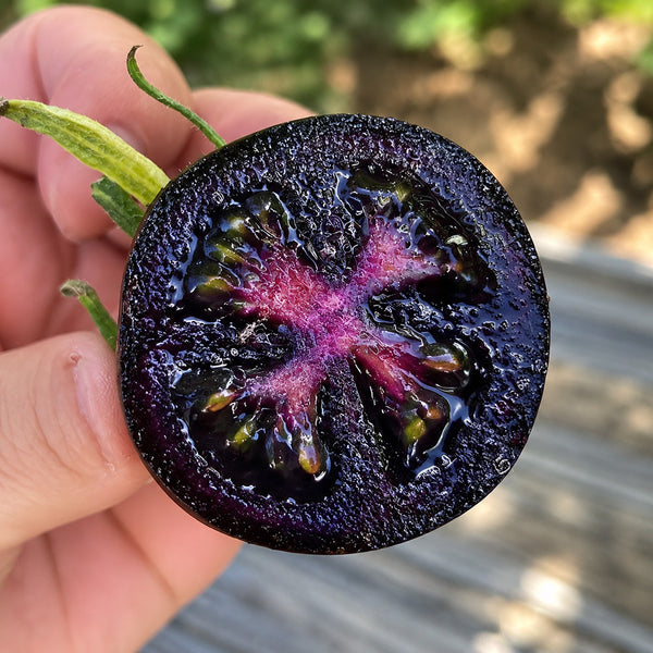 W1357 Blueberry Fruit Tomato, 100 Seeds