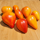 318 Fred Heirloom Tomato, 5 Seeds