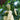 Specialty White Chili Pepper, 10 Seeds