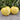 508 Reinhard's White Heart Tomato, 5 Seeds