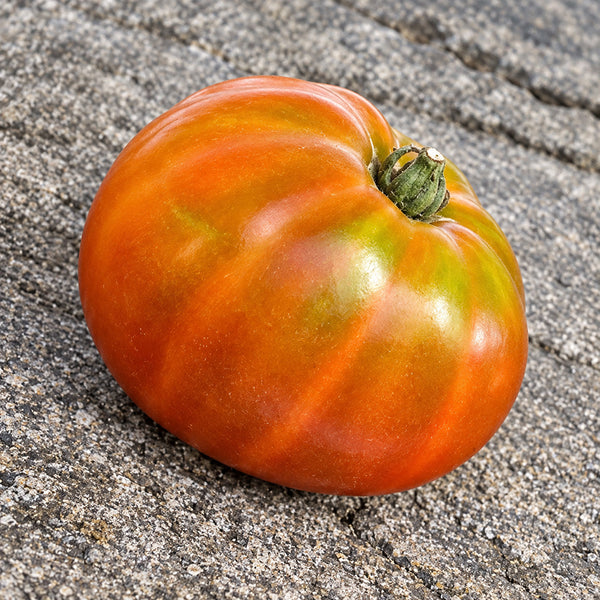 459 Maf's Brown #9 Tomato, 5 Seeds