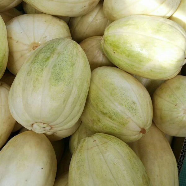 Tianfei Sweet Melon Seeds, 2g