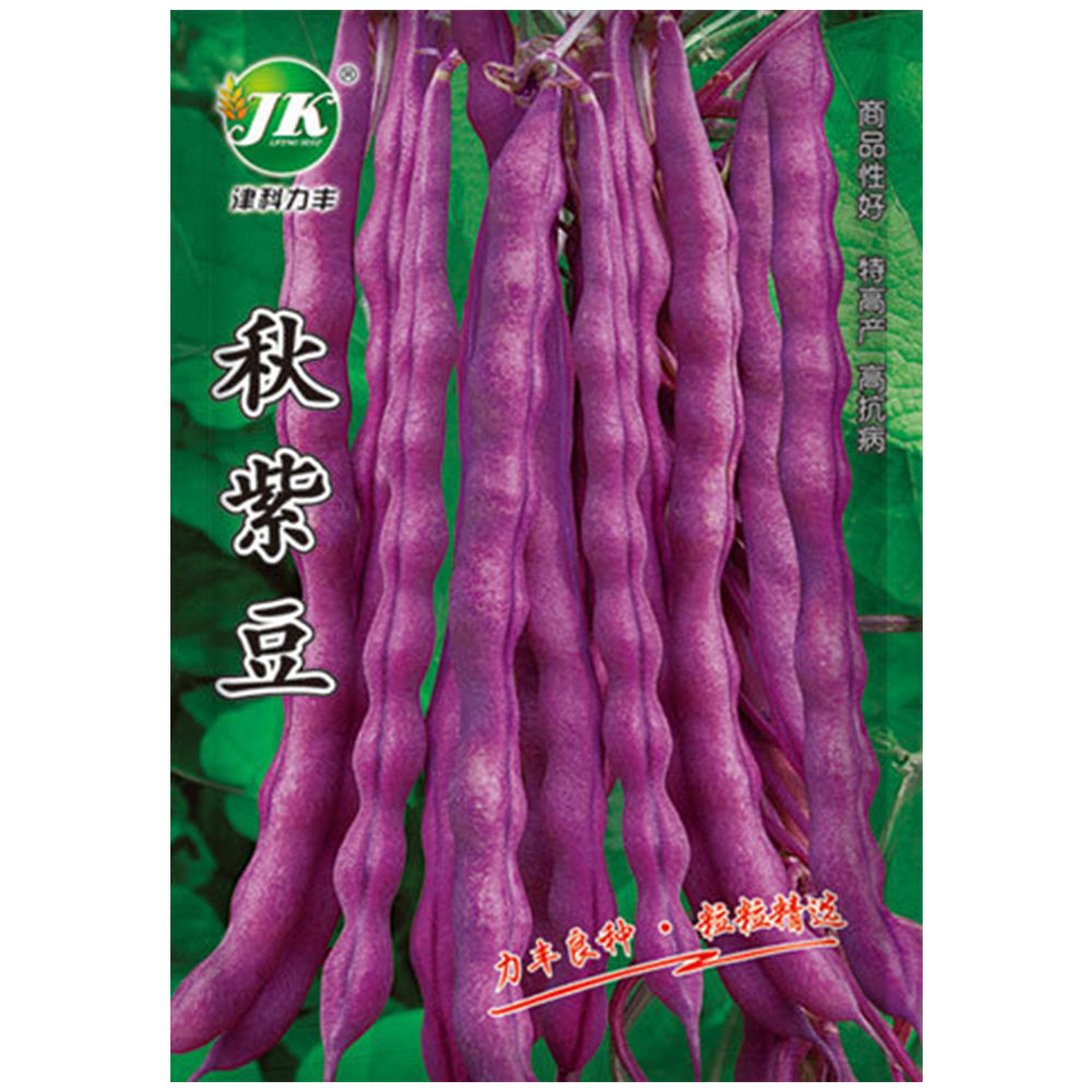 Fall Purple Kidney Bean Seeds, 10g Per Bag