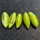 473 Favorie de Bretagne Tomato, 5 Seeds