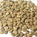White Honesty Silver Dollar, 10 Seeds