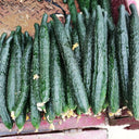 'Fuyang No.2' F1 Cucumber Seeds, 25g